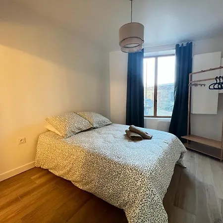 Appartement Coup De Coeur. St Etienne-Rochetaillee Saint-Etienne  Exterior photo
